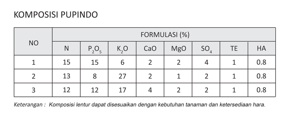 pupindo-komposisi