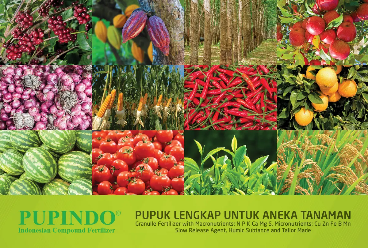 saraswanti-product-banneraneka